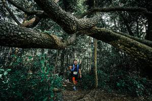 BIB: 
                            <button type="button" onclick="openModal(25705990)" class="btn btn-primary btn-sm float-right btn-popup" data-toggle="modal" data-target=".modal-high-quality">
                        <i class="fas fa-shopping-cart"></i> Add to Cart
                    </button>
                                            <button type="button" onclick="isThisMe(25705990, true)" class="btn btn-success btn-sm float-right btn-popup btn-isme hidden" data-toggle="tooltip" data-placement="bottom" title="นี่คือรูปของคุณใช่ไหม คลิกที่นี่เพื่อเอาเข้าอัลบั้ม">
                        <i class="fas fa-plus"></i> Add to album
                    </button>
                    <button type="button" onclick="isThisMe(25705990, false)" class="btn btn-warning btn-sm float-right btn-popup btn-isnotme hidden">
                        <i class="fas fa-ban"></i> Remove from album
                    </button>